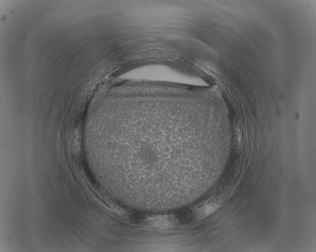 X0000076430499200610271737