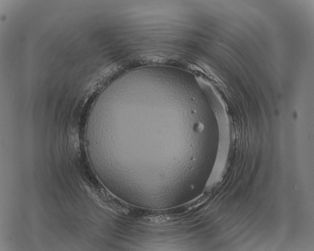 X0000076430500200610271737