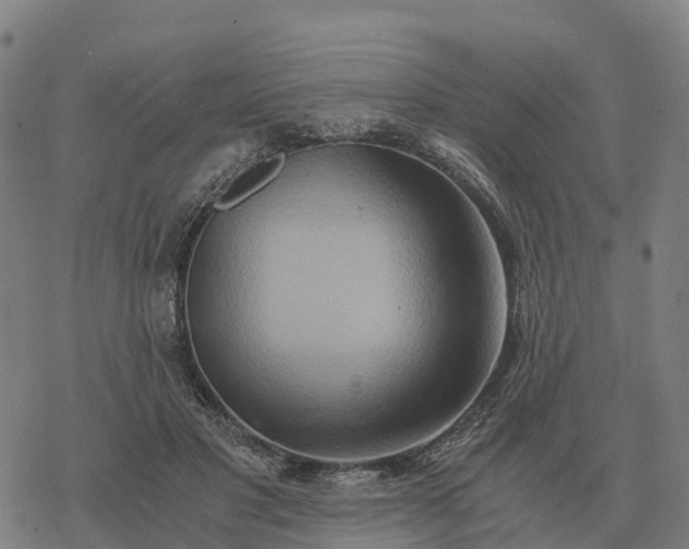 X0000076430501200610271737