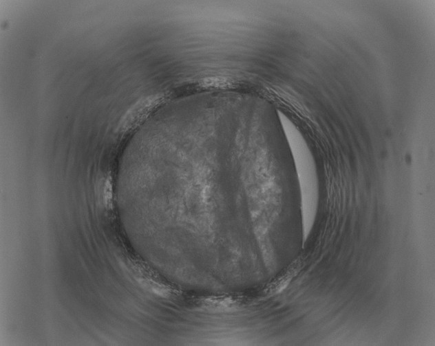 X0000076430502200610271737