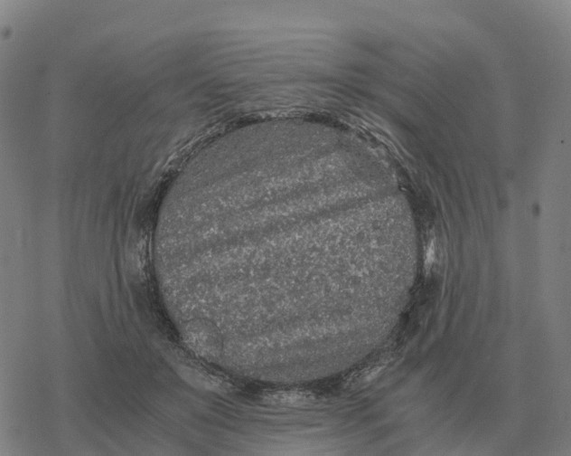 X0000076430503200610271737