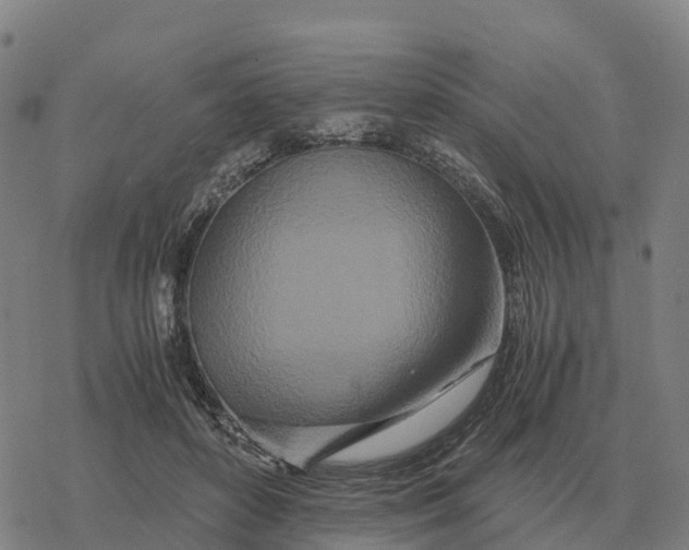 X0000076430504200610271737