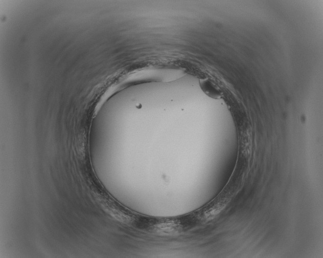 X0000076430505200610271737