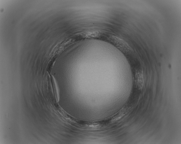 X0000076430506200610271737