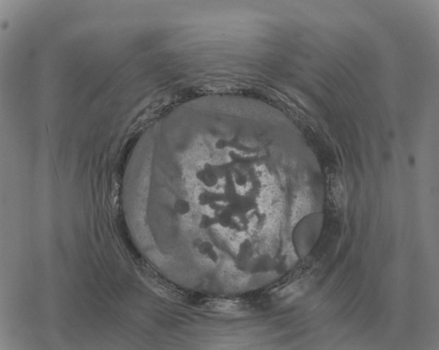 X0000076430507200610271737