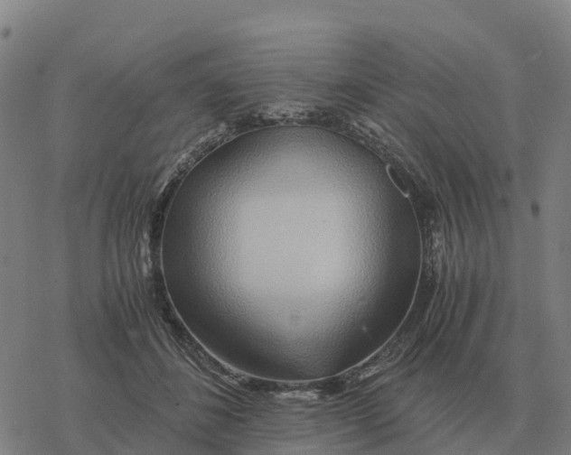 X0000076430508200610271737