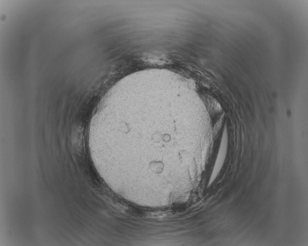 X0000076430511200610271736