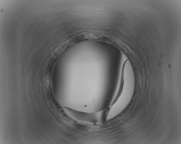 X0000076430513200610271736