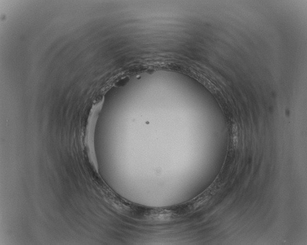 X0000076430514200610271736