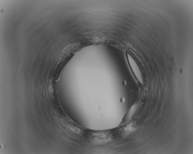 X0000076430516200610271736