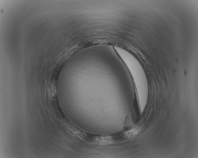 X0000076430517200610271736