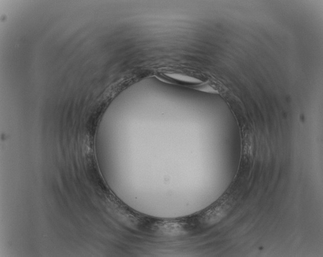 X0000076430518200610271736