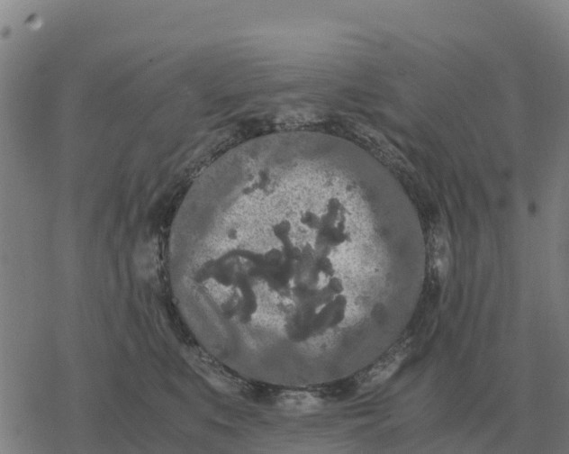 X0000076430519200610271736