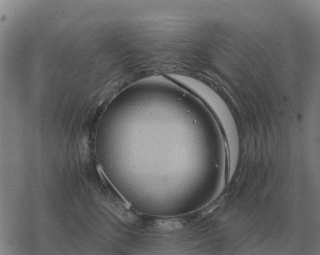 X0000076430520200610271736