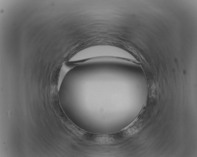 X0000076430521200610271736