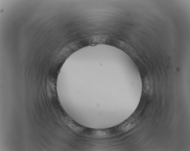 X0000076430522200610271736