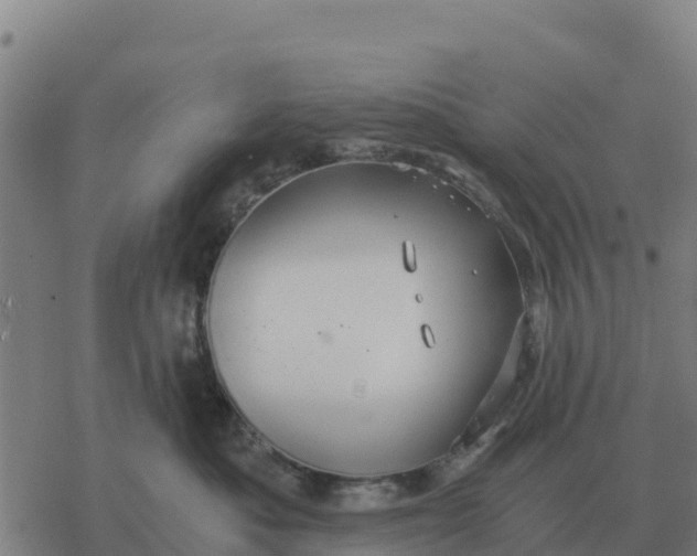 X0000076430525200610271736