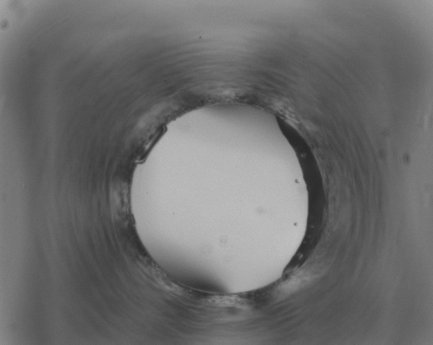 X0000076430528200610271736