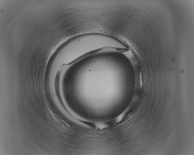 X0000076430532200610271735