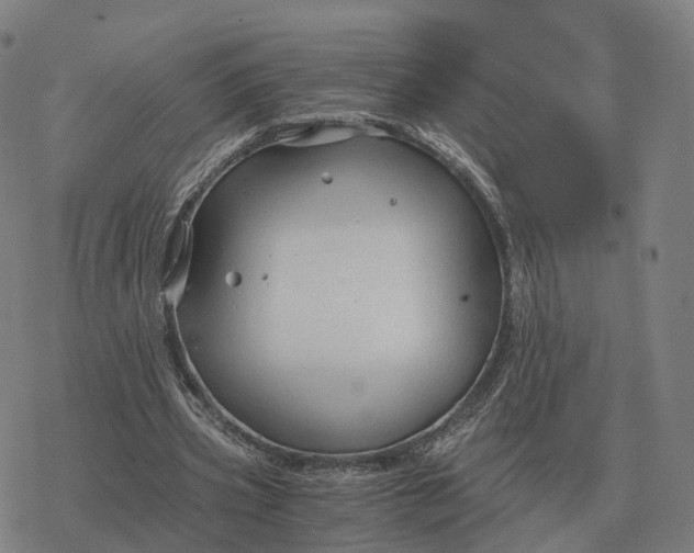 X0000076430533200610271735