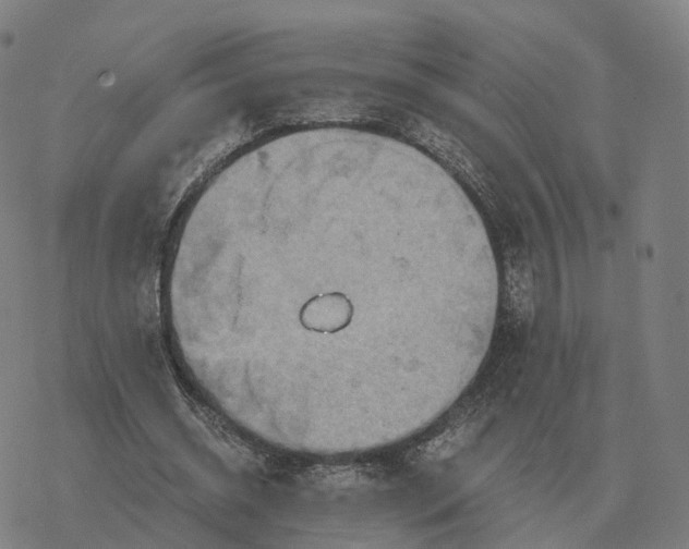 X0000076430534200610271735