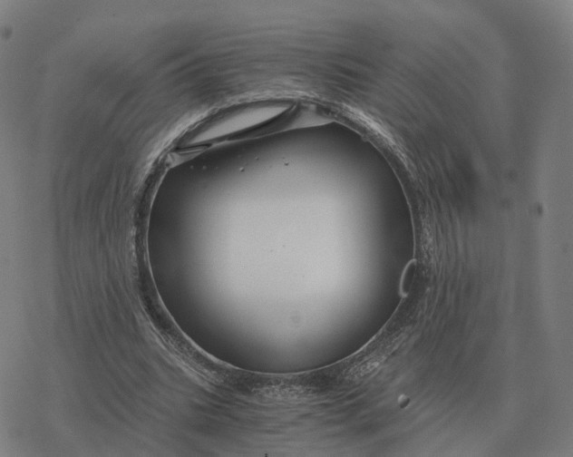 X0000076430535200610271735