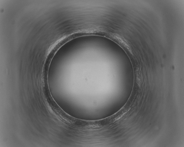 X0000076430536200610271736