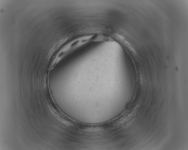 X0000076430537200610271736