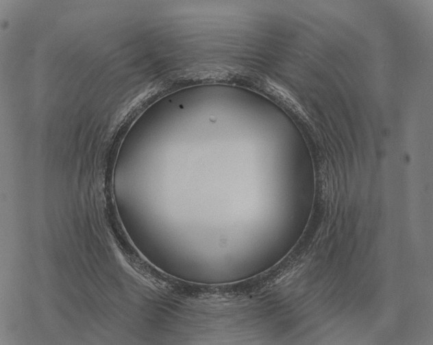 X0000076430538200610271736