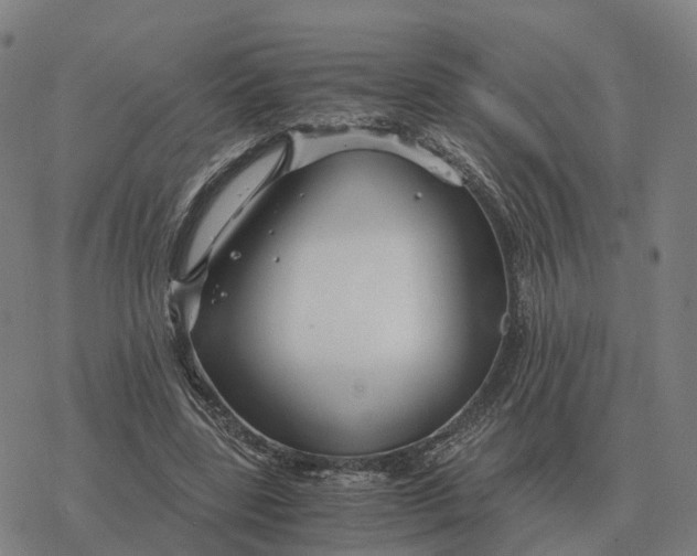 X0000076430539200610271736