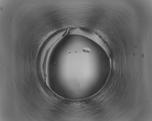 X0000076430540200610271736