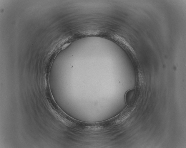 X0000076430541200610271736