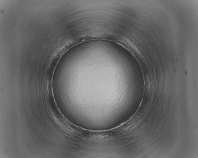 X0000076430542200610271736