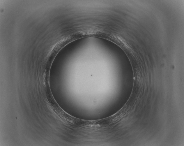 X0000076430543200610271736