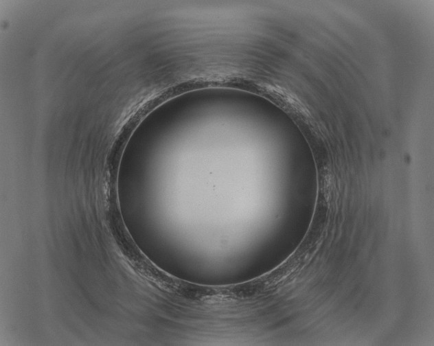 X0000076430544200610271736