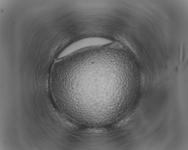 X0000076430545200610271736