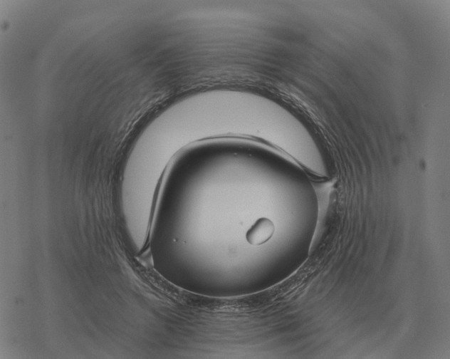 X0000076430546200610271736