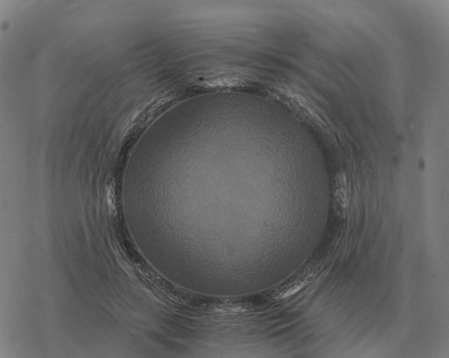 X0000076430547200610271736