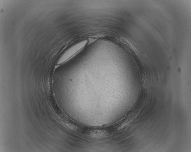 X0000076430549200610271736