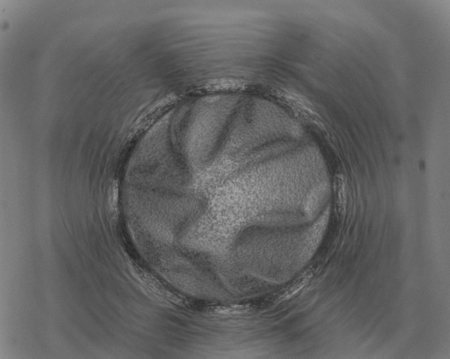 X0000076430550200610271736