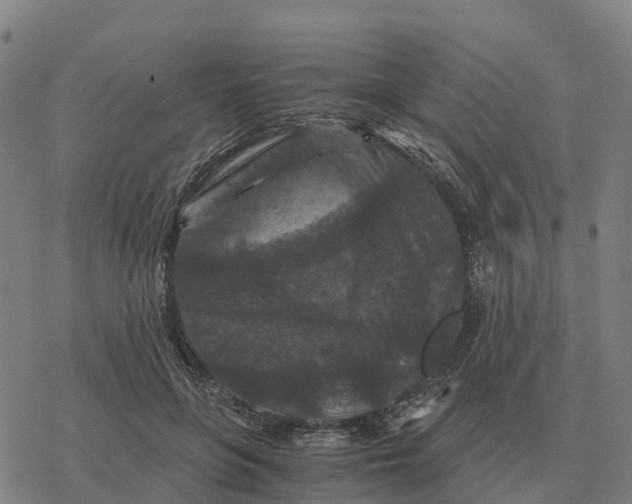 X0000076430551200610271736