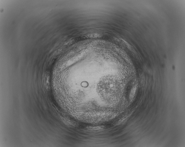 X0000076430553200610271736