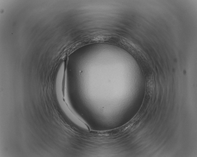 X0000076430554200610271736