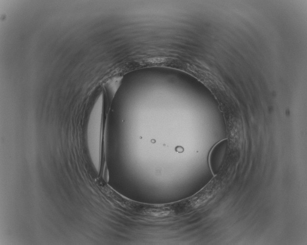 X0000076430555200610271736