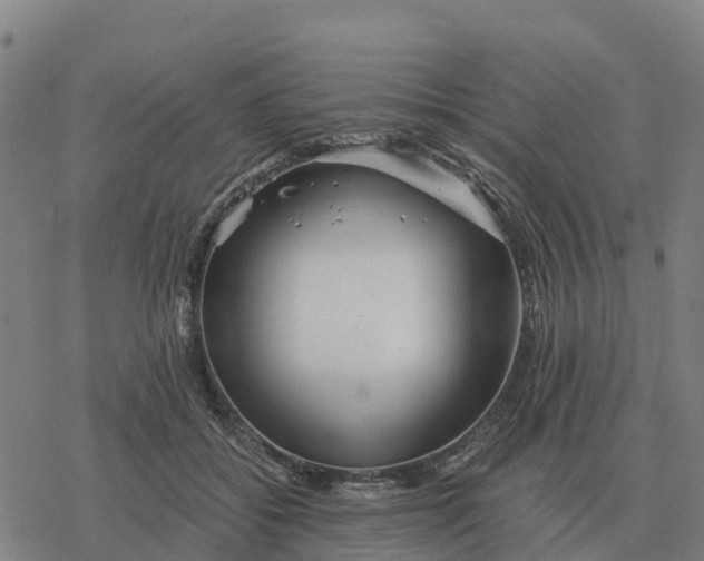 X0000076430556200610271736