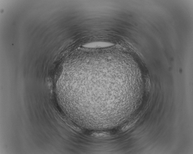 X0000076430557200610271736