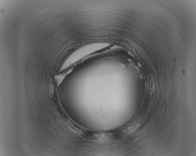 X0000076430558200610271736