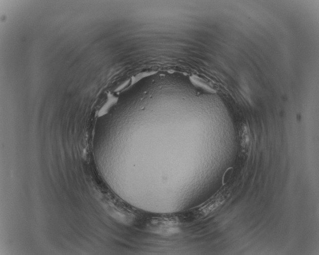 X0000076430559200610271736