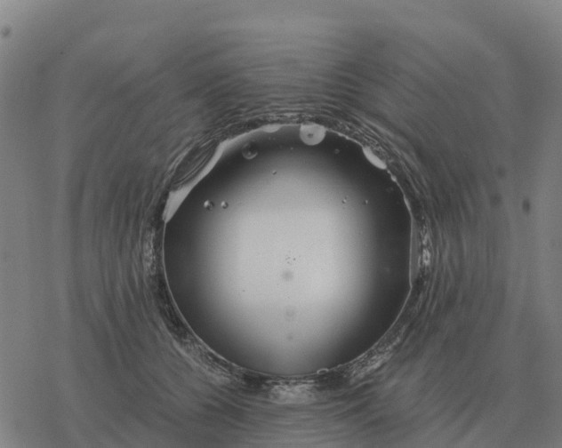 X0000076430560200610271736