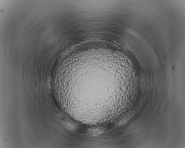 X0000076430561200610271736